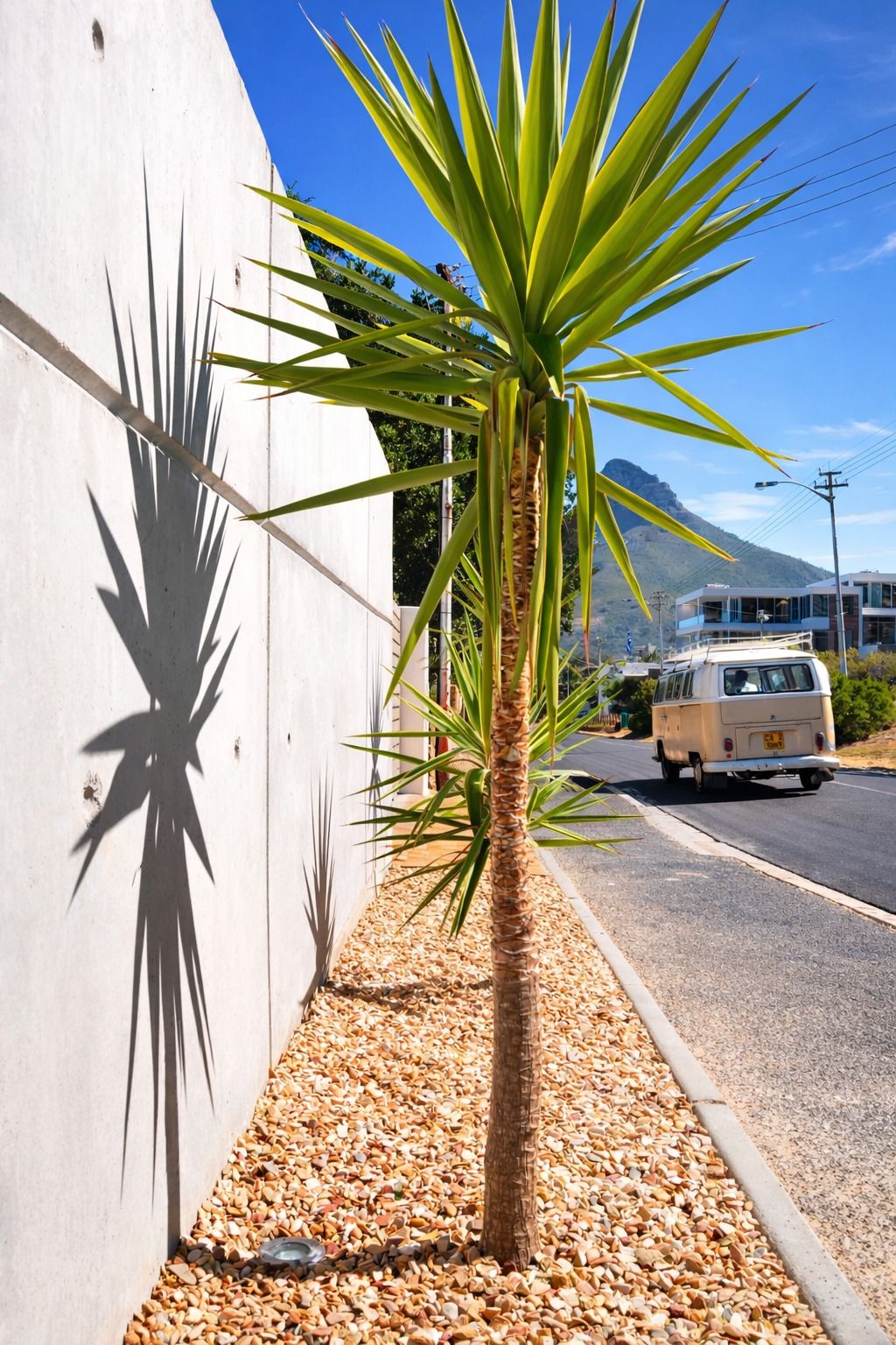 A vintage VW bus on a sunny Camps Bay street